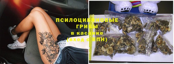 МДПВ Абдулино