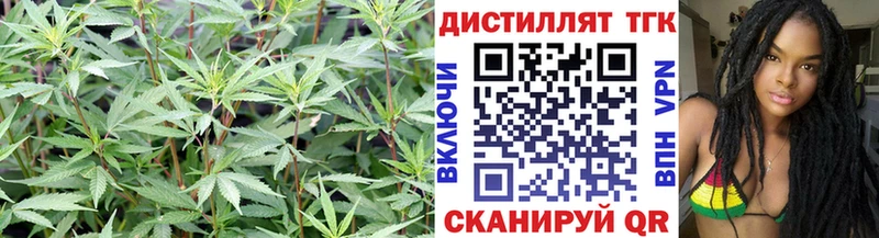 Дистиллят ТГК THC oil Саранск